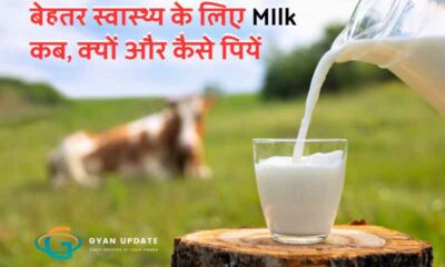 बेहतर स्वास्थ्य के लिए MIlk कब, क्यों और कैसे पियें