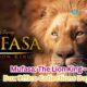 Mufasa The Lion King – Box Office Collections Day 9