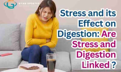 Stress and its Effect on Digestion: Are Stress and Digestion Linked ?