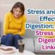 Stress and its Effect on Digestion: Are Stress and Digestion Linked ?