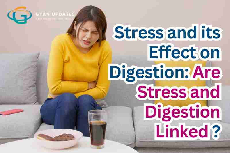 Stress and its Effect on Digestion: Are Stress and Digestion Linked ?