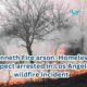 Kenneth Fire arson: Homeless suspect arrested in Los Angeles wildfire incident"