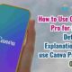 How to Use Canva Pro for free: Detailed Explanations to use Canva Pro at 0 cost